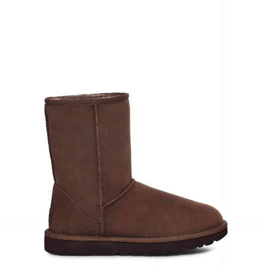 UGG Ankle boots